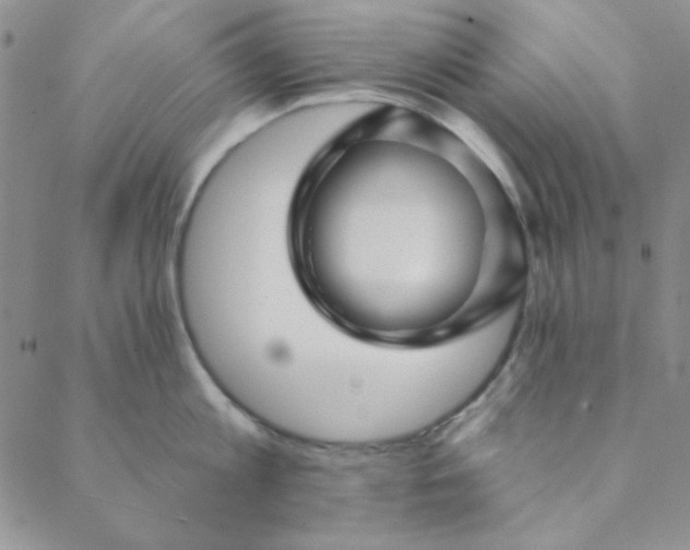 X0000088630813200706081545