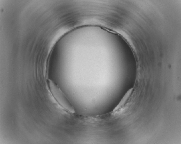 X0000088630815200706081545