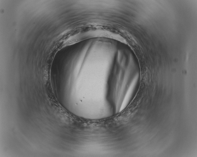 X0000088630821200706081544