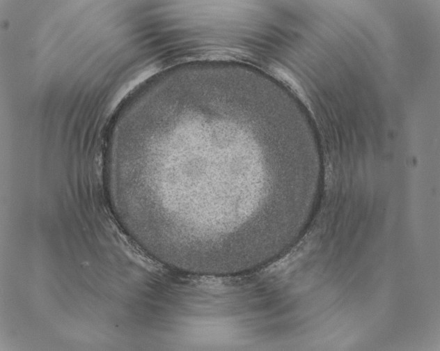 X0000088630827200706081545