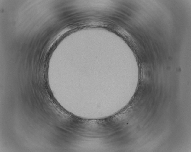 X0000088630828200706081545