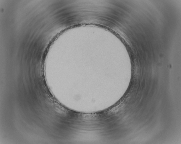 X0000088630832200706081545