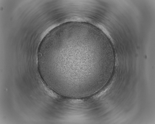 X0000088630837200706081545