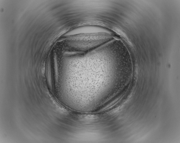 X0000088630841200706081545