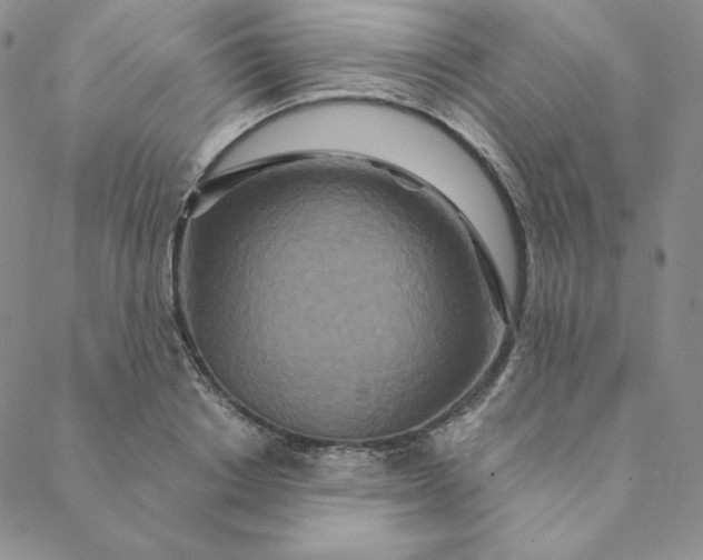 X0000088630842200706081545