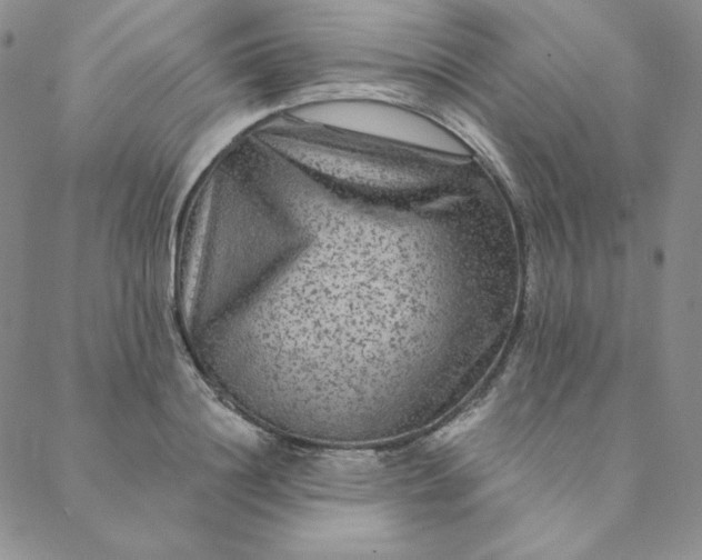 X0000088630844200706081545