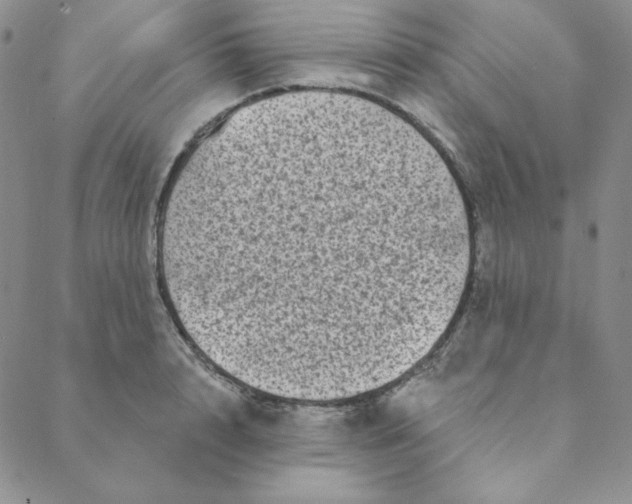 X0000088630848200706081545