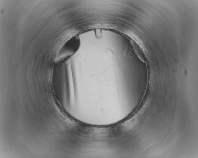 X0000088630849200706081545