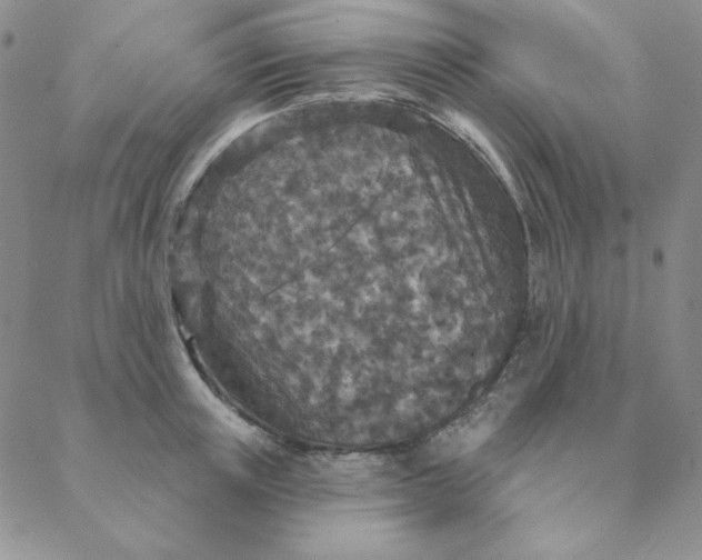 X0000088630851200706081545