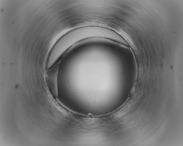 X0000088630854200706081545