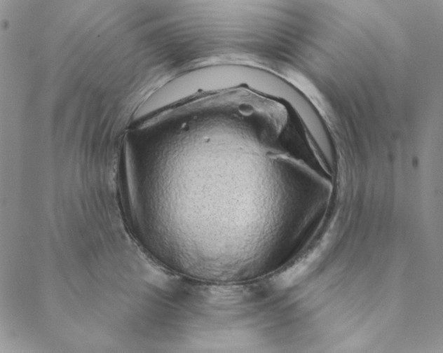 X0000088630857200706081545