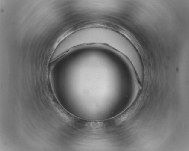 X0000088630858200706081545