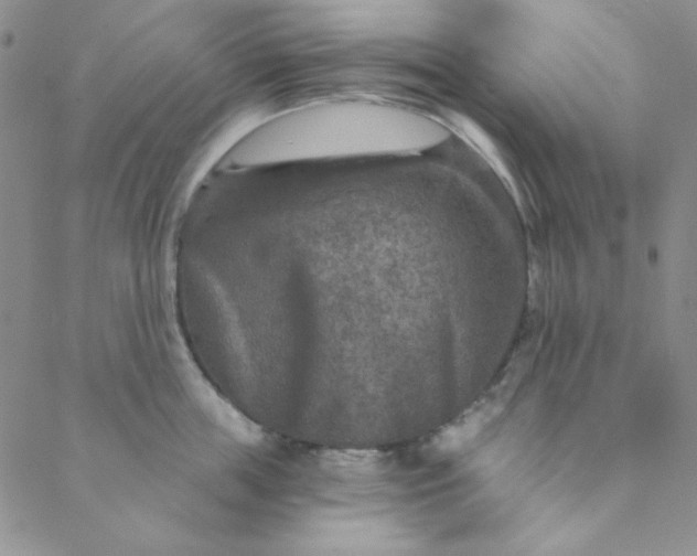 X0000088630859200706081545
