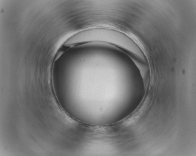 X0000088630862200706081545