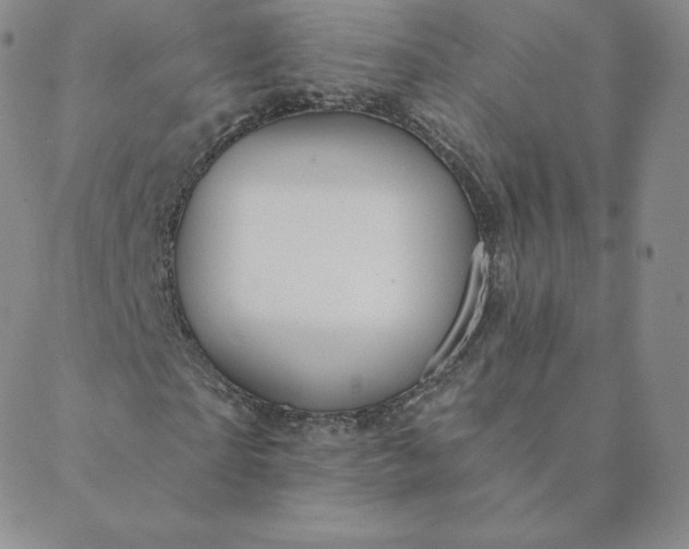 X0000088630865200706081544