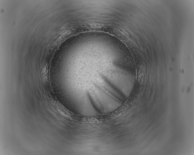 X0000088630866200706081544
