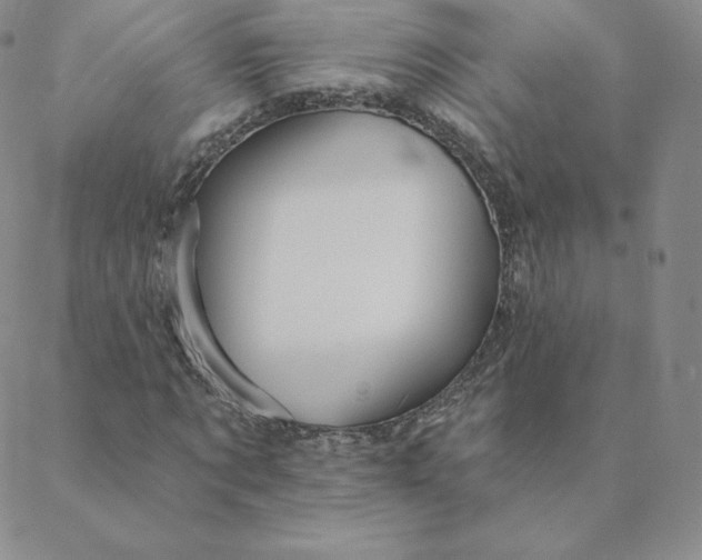 X0000088630869200706081544