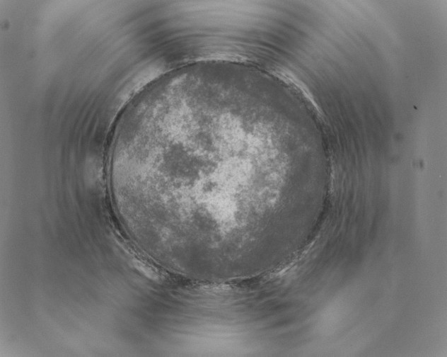 X0000088630882200706081544