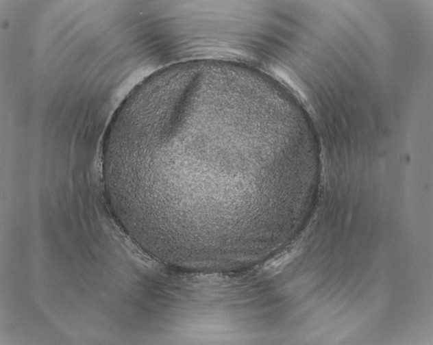 X0000088630883200706081544