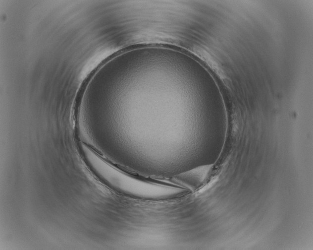 X0000088630885200706081544