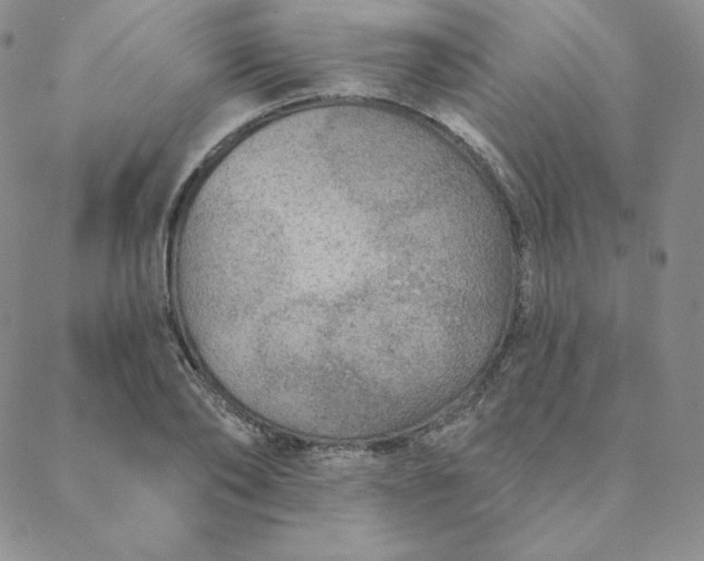 X0000088630886200706081544