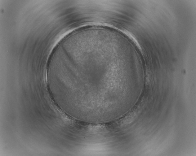 X0000088630887200706081544