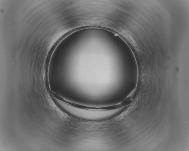 X0000088630888200706081544