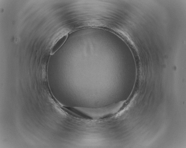 X0000088630889200706081544