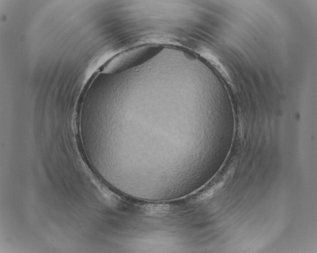 X0000088630893200706081544