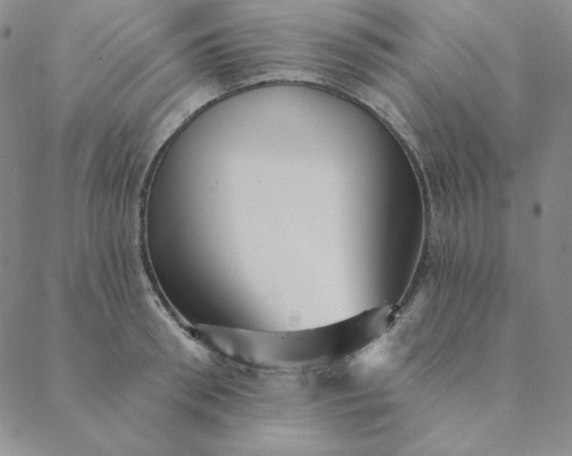 X0000088630898200706081544