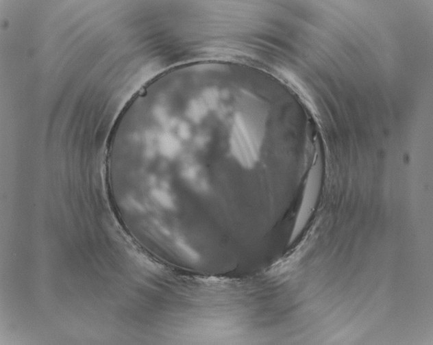 X0000088630899200706081544