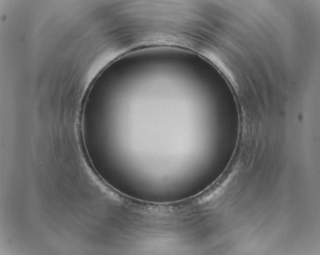 X0000088630901200706081544