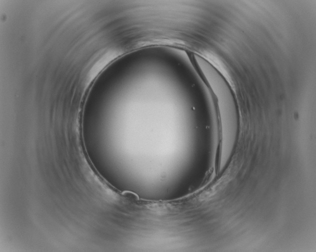 X0000088630906200706081544