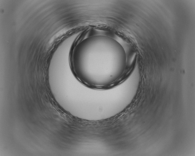 X0000088630920200706081543