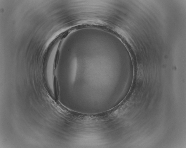 X0000088630923200706081543