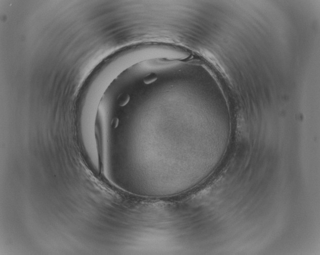 X0000088630926200706081543