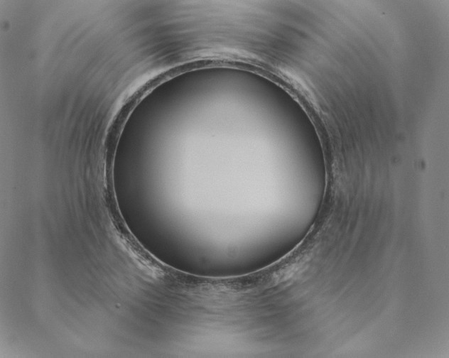 X0000088630931200706081543