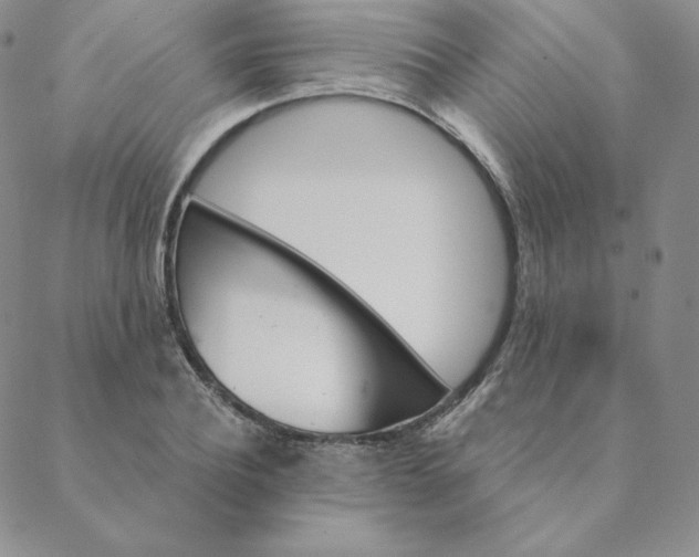 X0000088630932200706081543