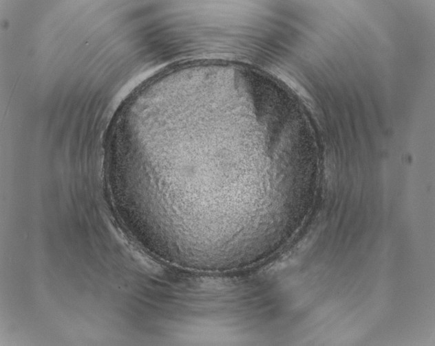 X0000088630933200706081543