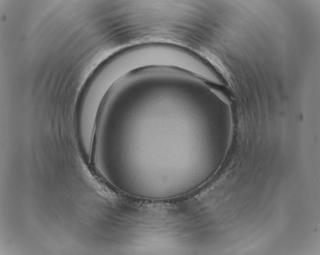 X0000088630934200706081543
