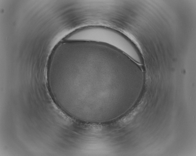 X0000088630935200706081543