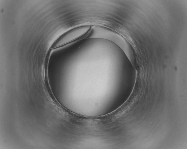 X0000088630936200706081543