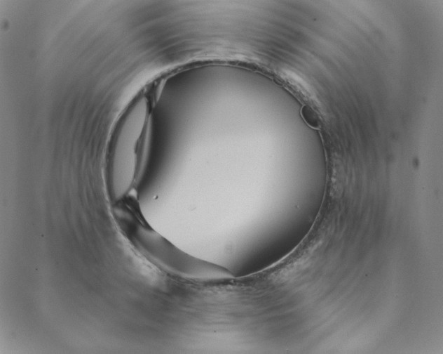 X0000088630942200706081543