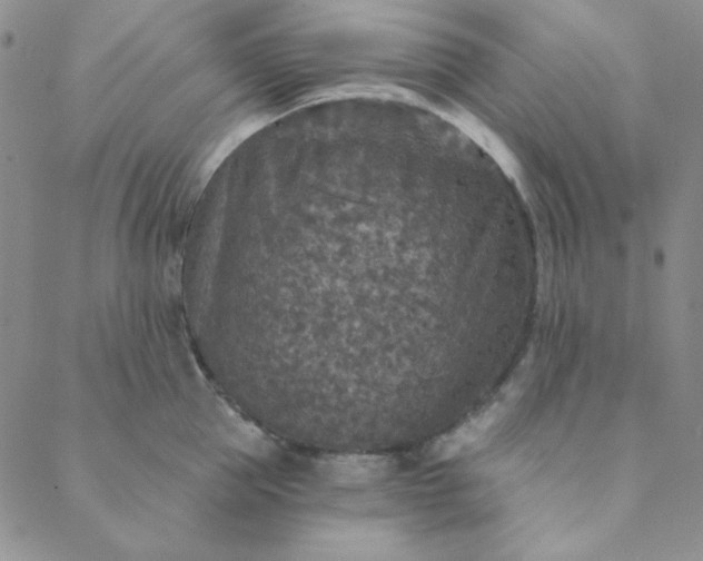 X0000088630953200706081543
