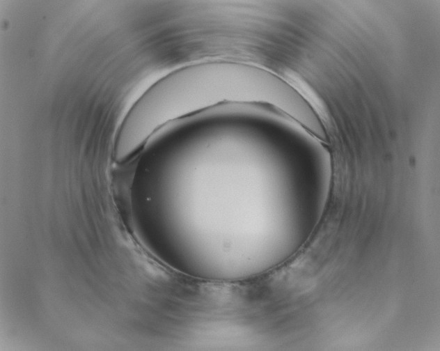 X0000088630956200706081543