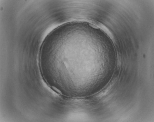 X0000088630958200706081544