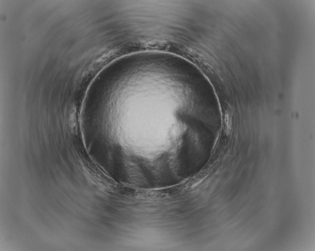 X0000088630963200706081543
