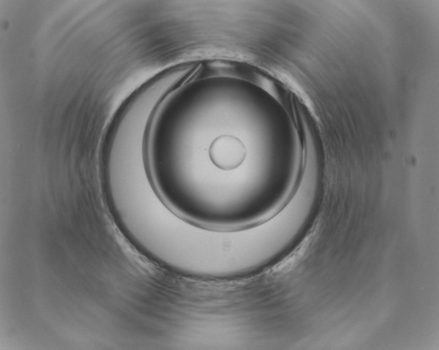 X0000088630981200706081542