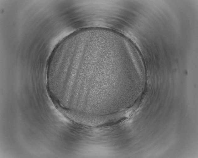 X0000088630987200706081542