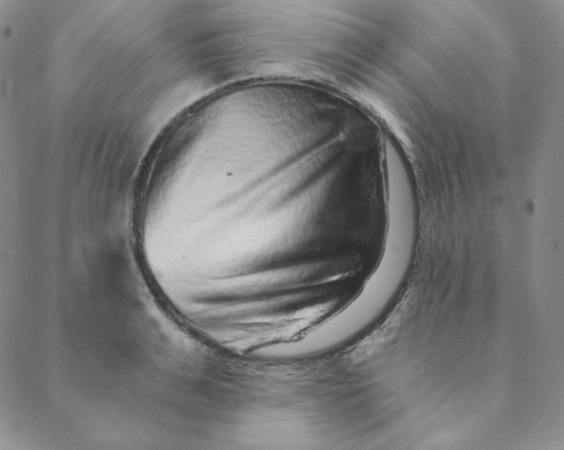 X0000088630991200706081542